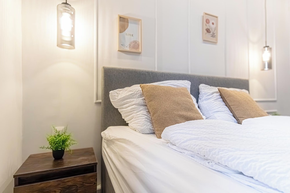 9BR Apts in the Heart of Vienna