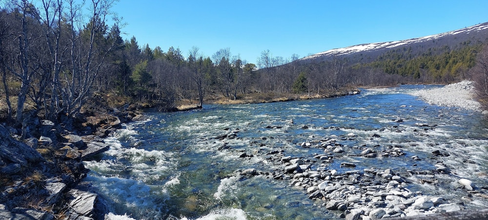 Trollskogen Gård