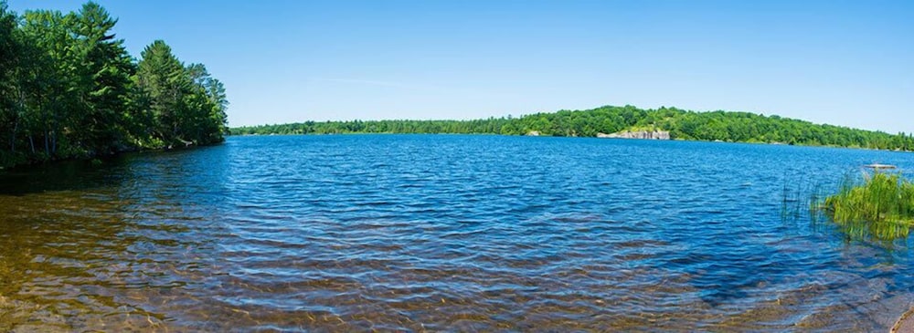 Fifth Lake Cottages
