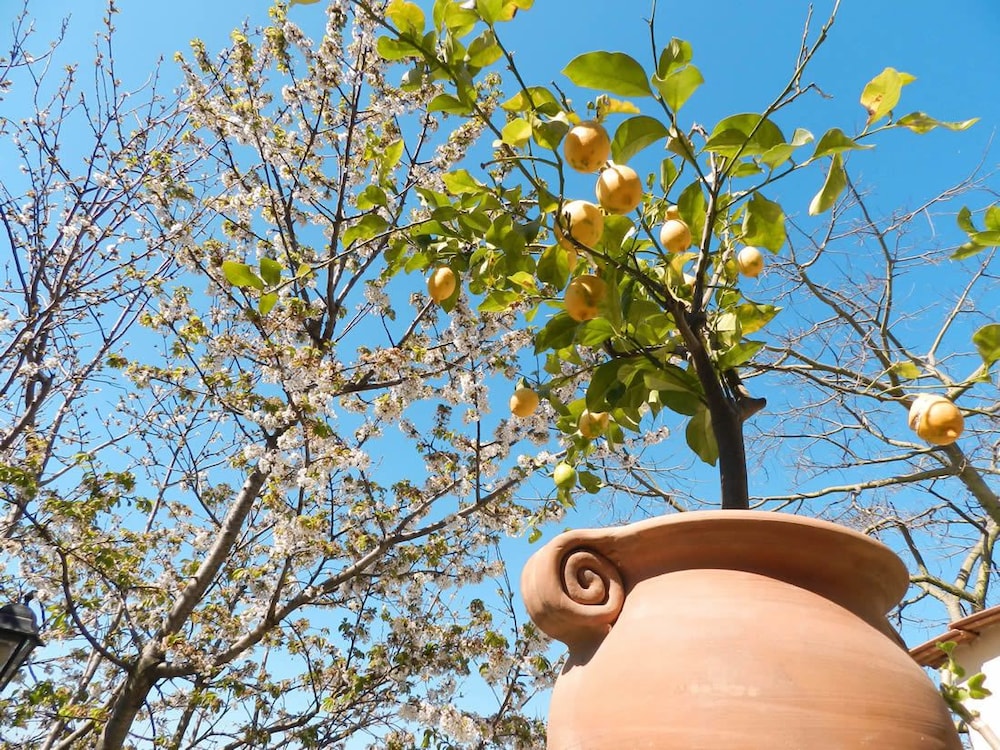 Bacio Del Sole B&B view 3