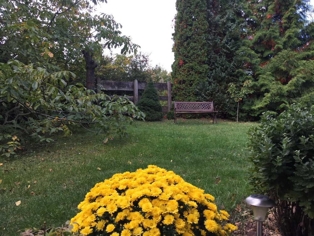 Photo 35