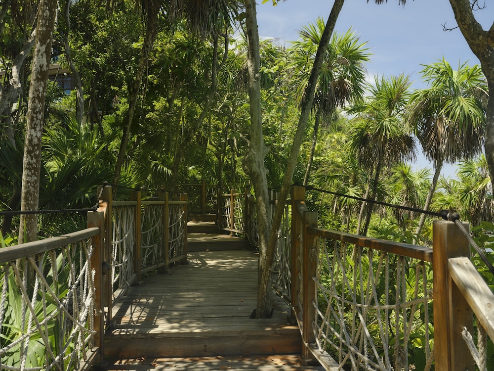 Kimpton Grand Roatan Resort And Spa by IHG - Photo 146