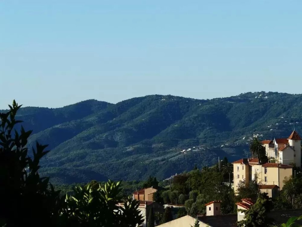 Les Palmiers Grasse view 2