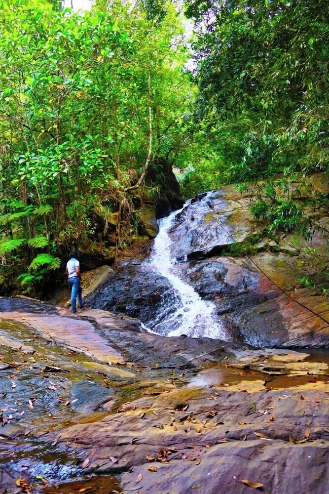 Makeliya Jungle & Waterfall Tour