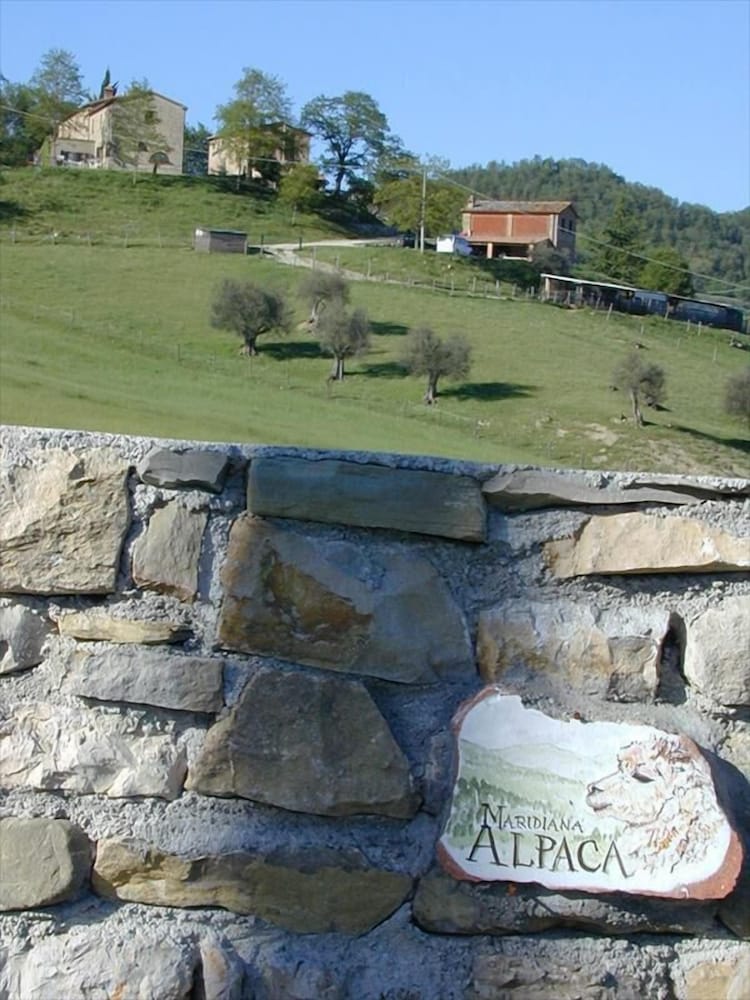Maridiana Alpaca view 2