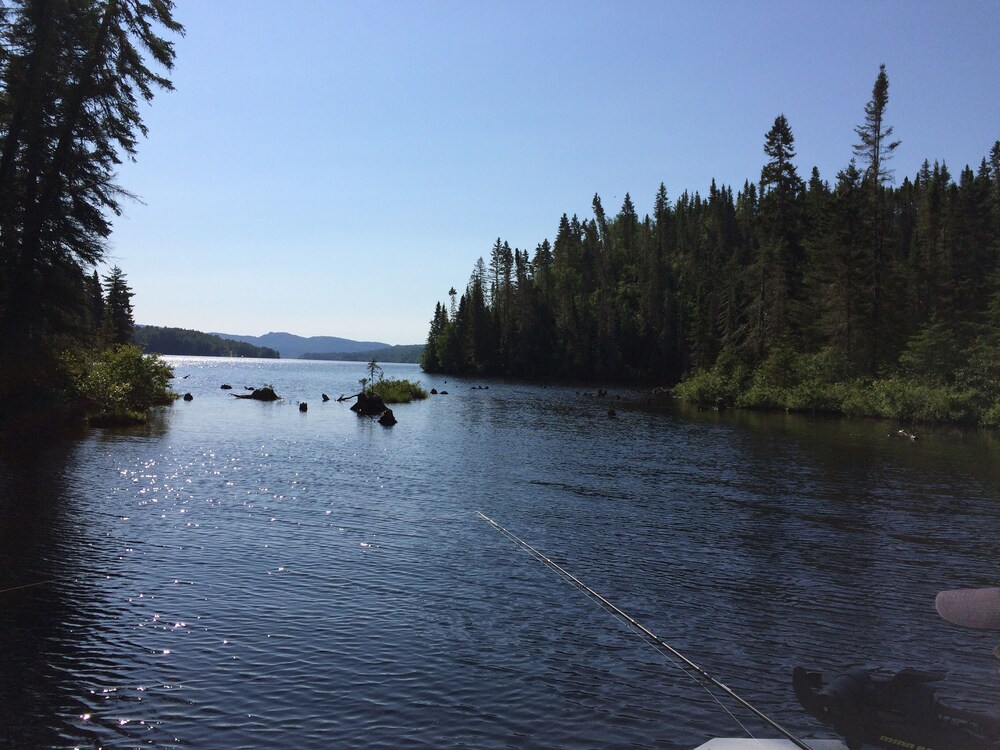 Photo 45