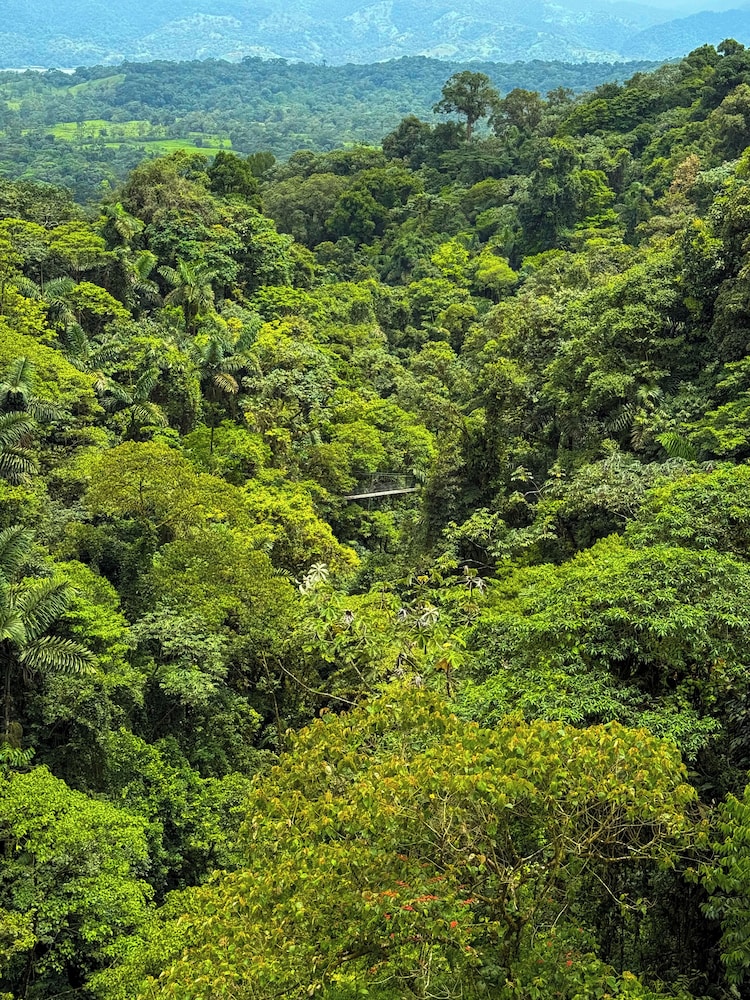 Refugio Las Cortezas