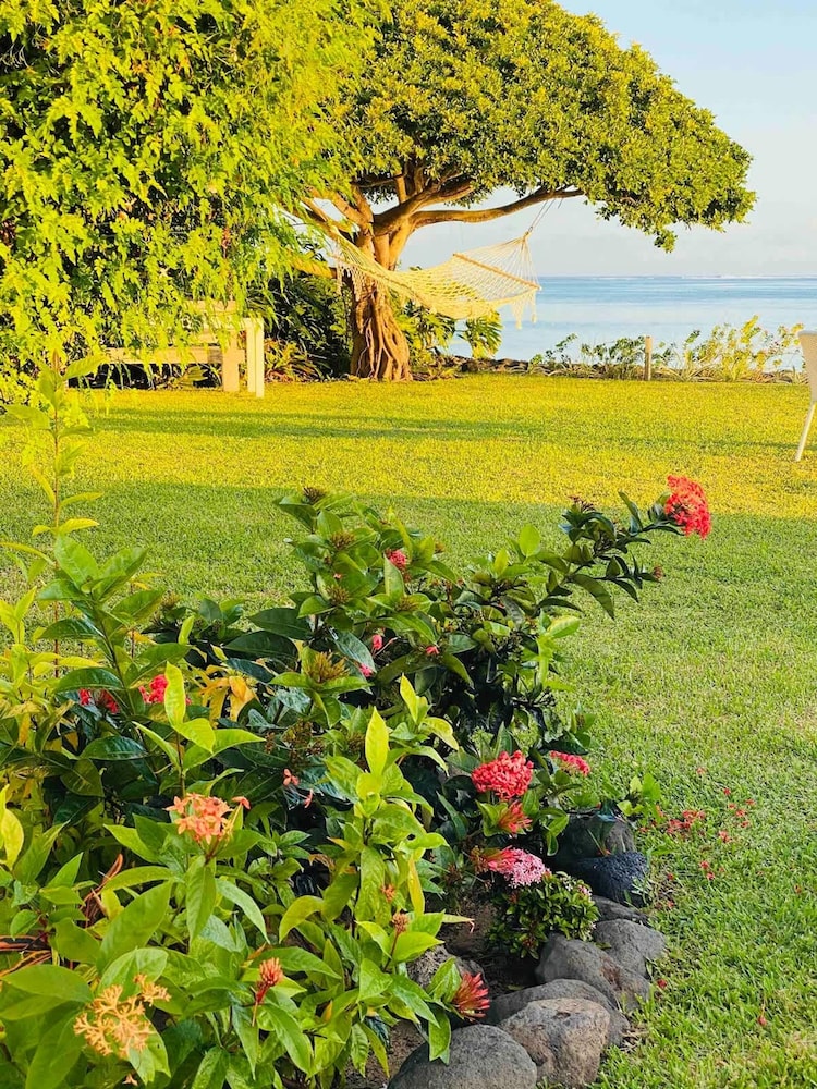 Le Ficus Grande Villa Bord de mer Avec Piscine
