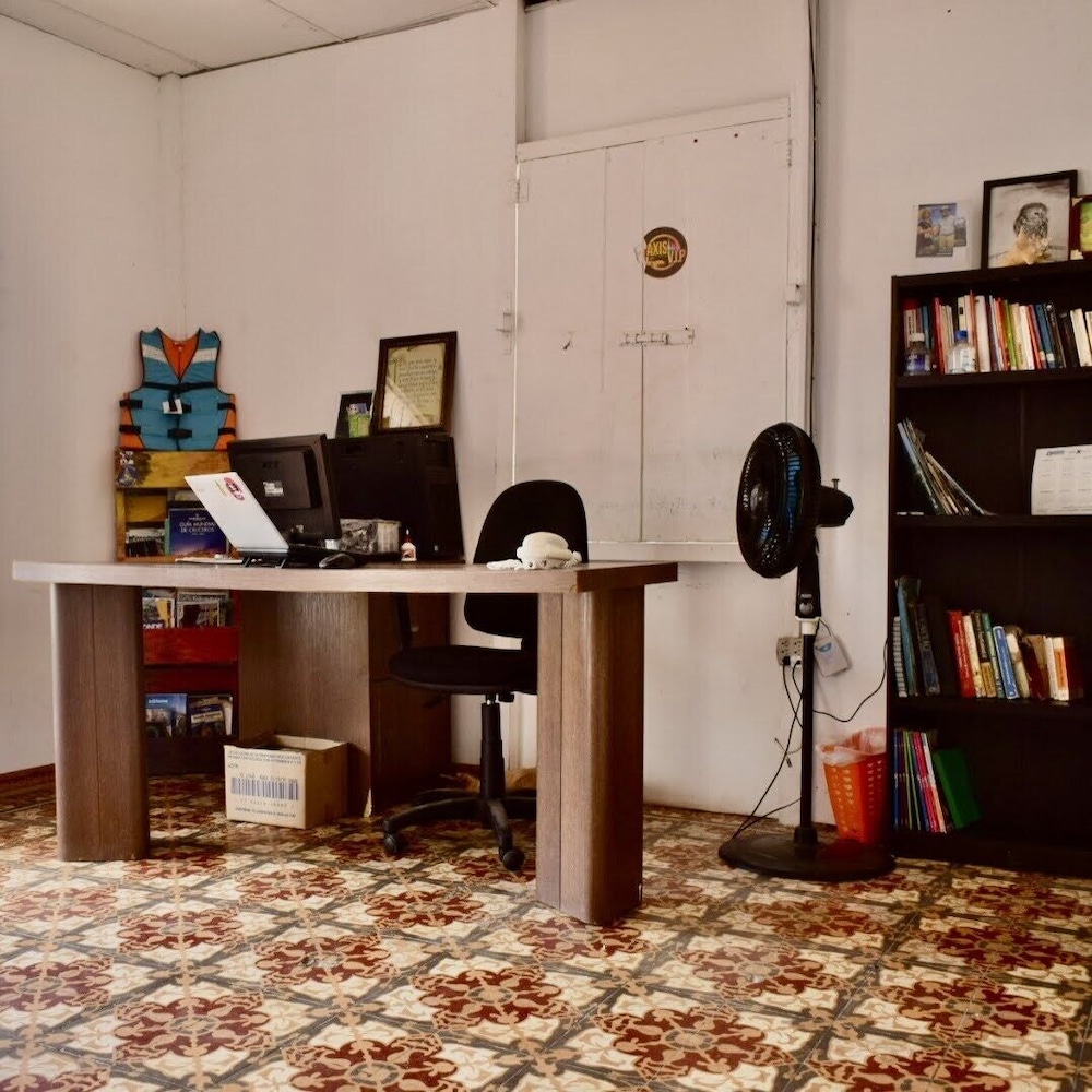 MANGO TREE HOSTEL 4 20