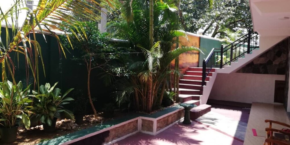 Photo 23