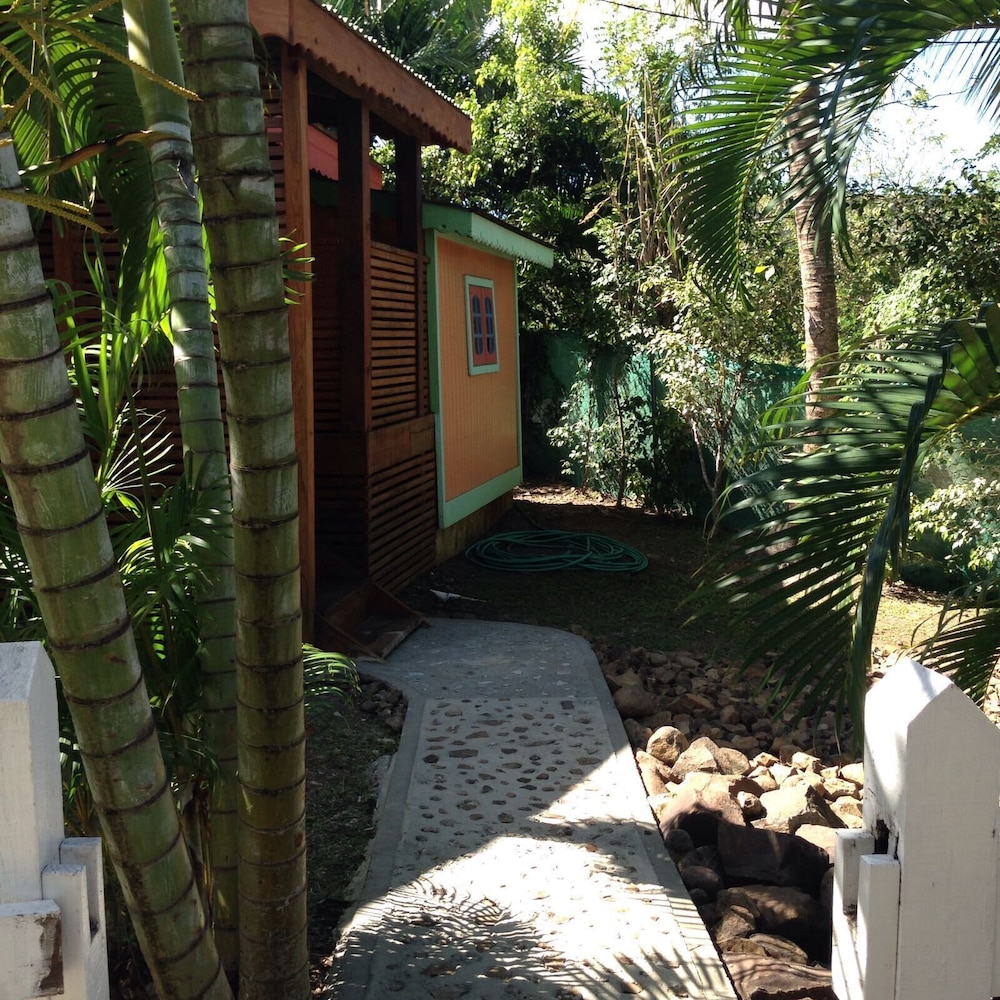 Photo 11