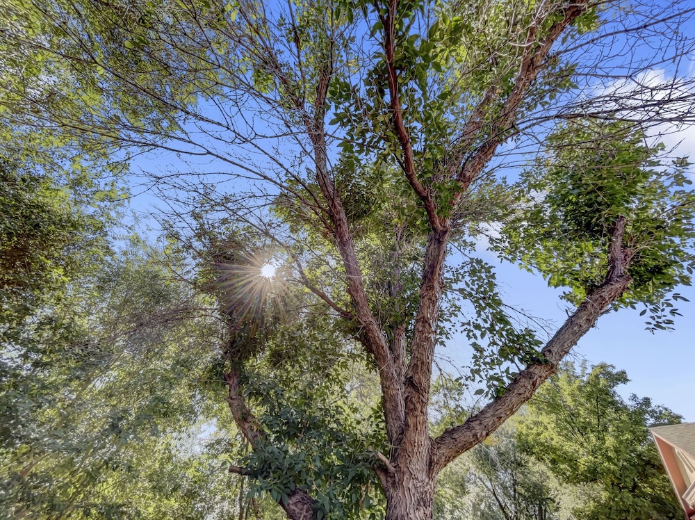 Paradise Hills Oasis 4 Bedroom Home
