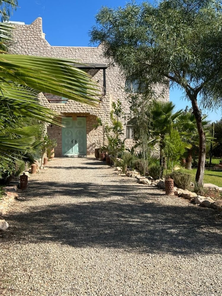 Dar mimosa