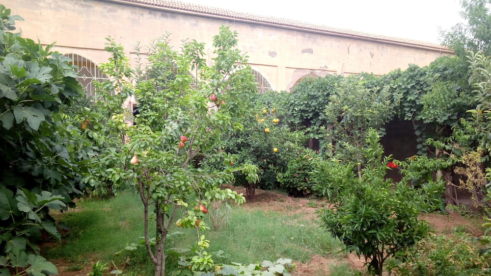 Riad Igrane