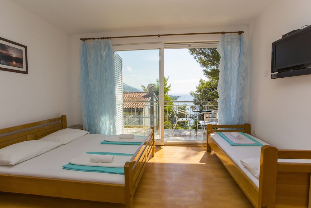Apartmani Villa Dvorski view 5