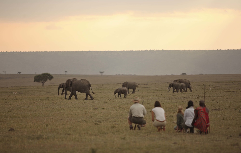 Elewana Elephant Pepper Camp