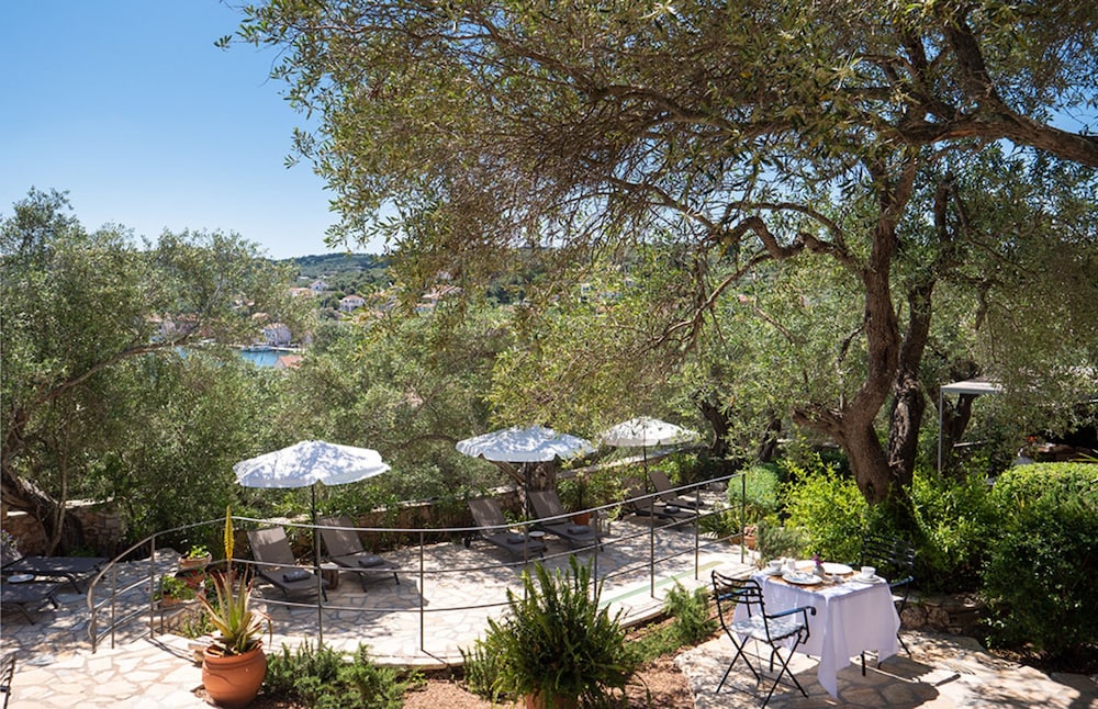 Bay View Bougainvillea Upper view 5