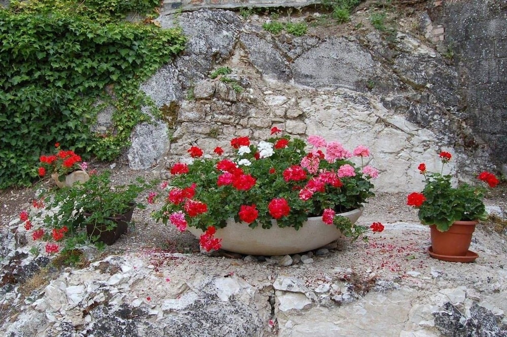 Photo 27
