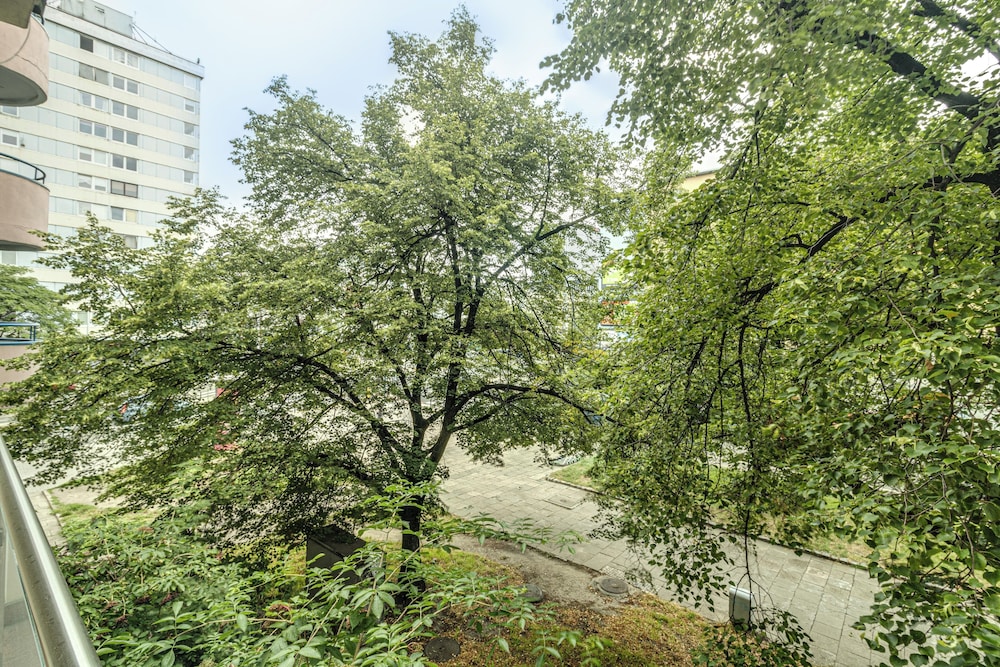 RentPlanet - Apartament Kościuszki view 3