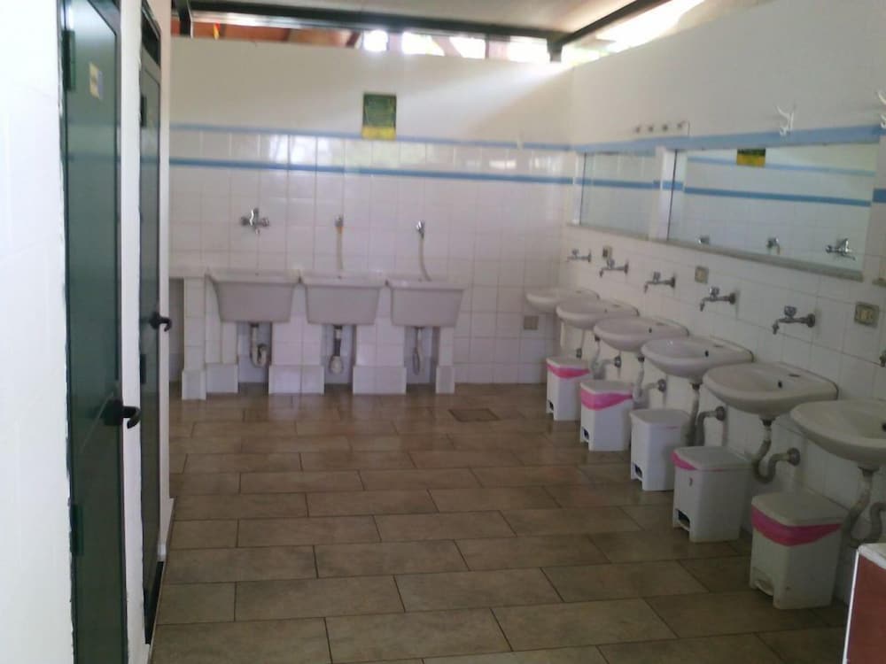 Camping Degli Ulivi photo 3