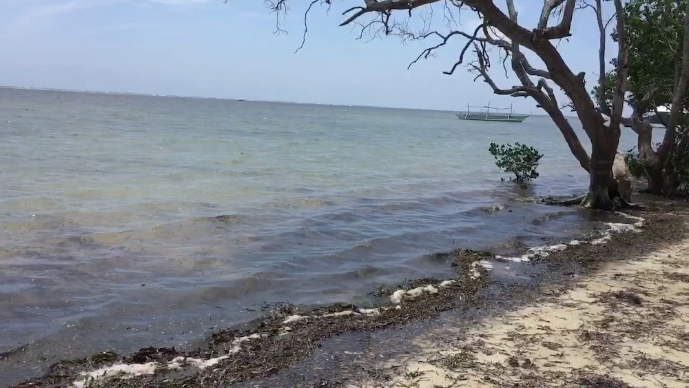 The Emerald Playa