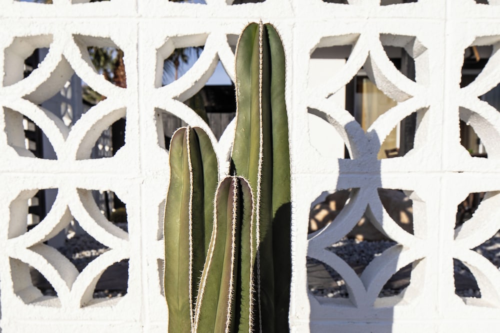 The Rosemary House La Quinta No.218742