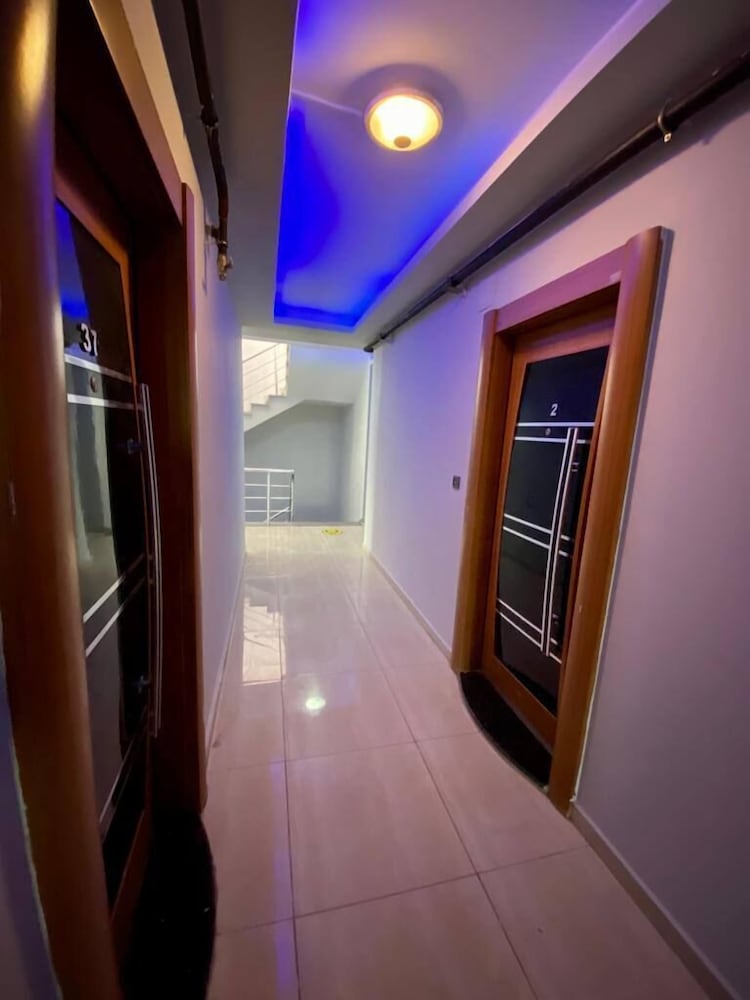 Palmiye Gold - Image 13