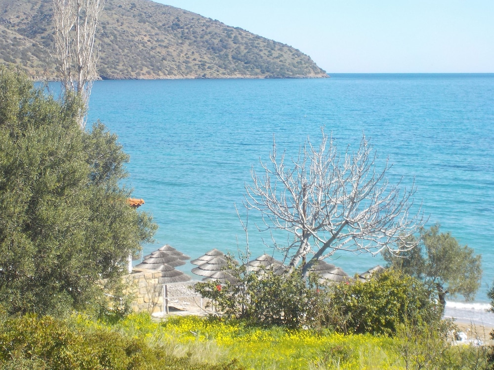 Photo 10