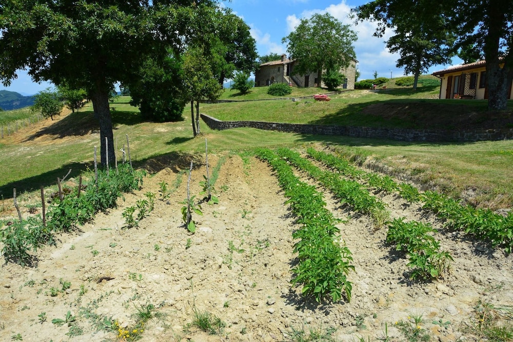 Photo 23