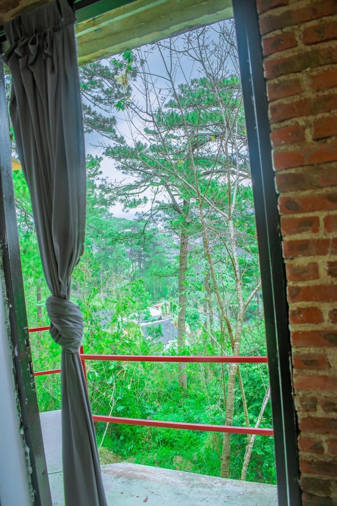 Maple Hostel