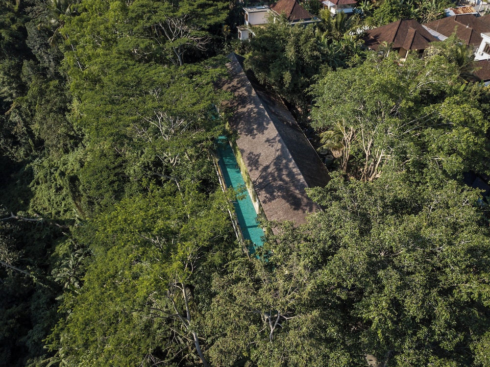 The Hidden Paradise Ubud