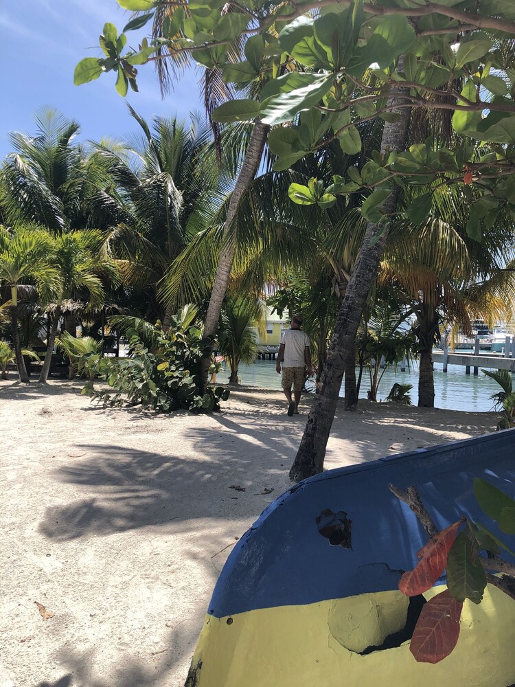 Photo 6