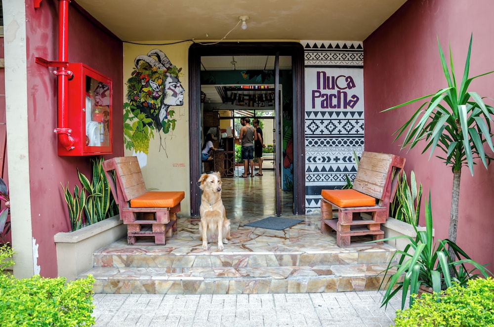 Hostel Nucapacha