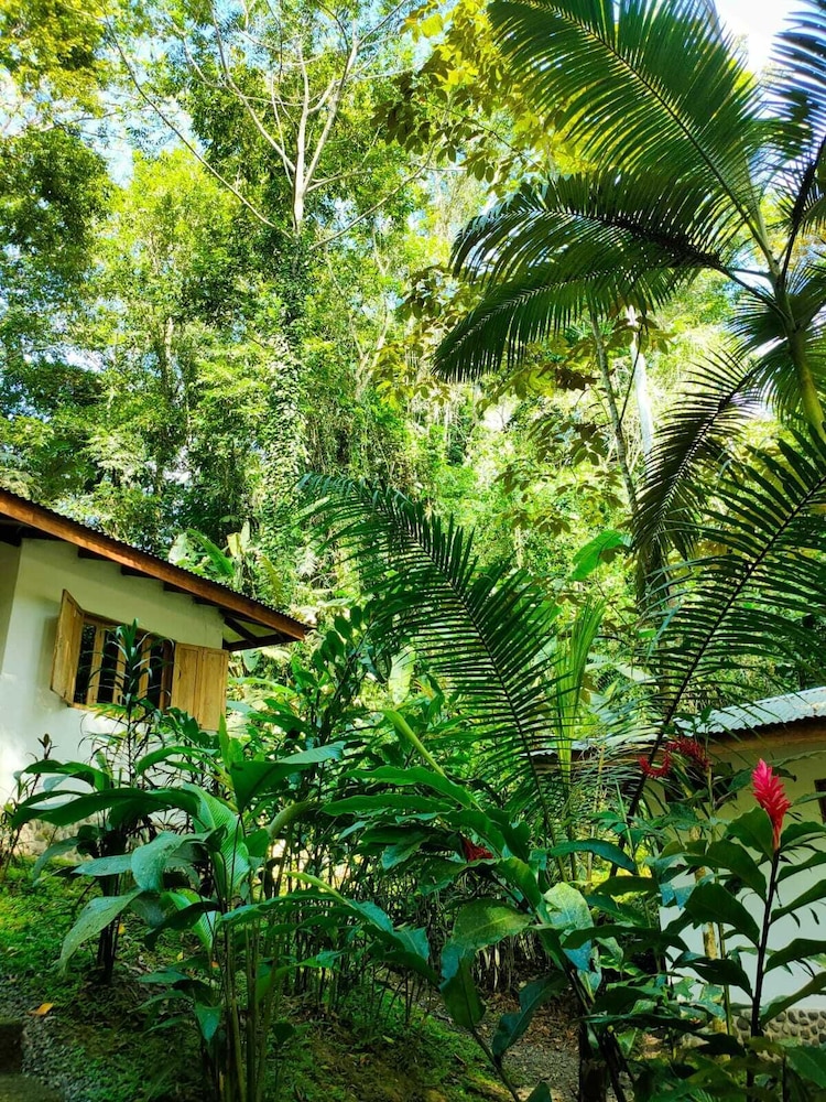 FINCA ARDILLA