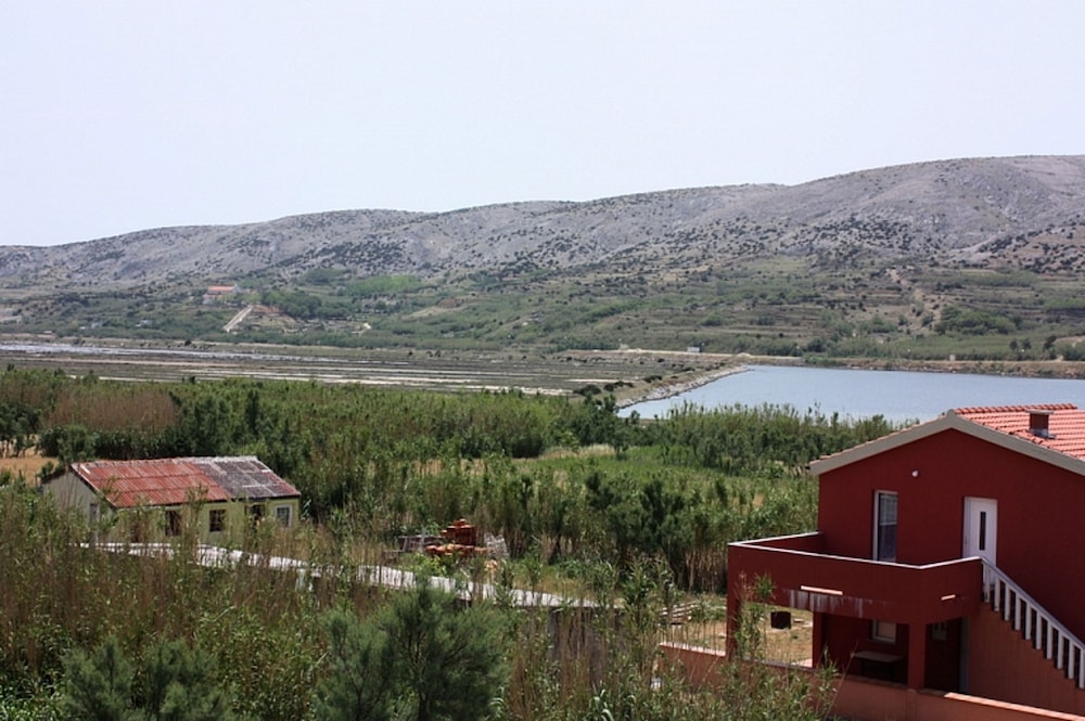 Photo 44
