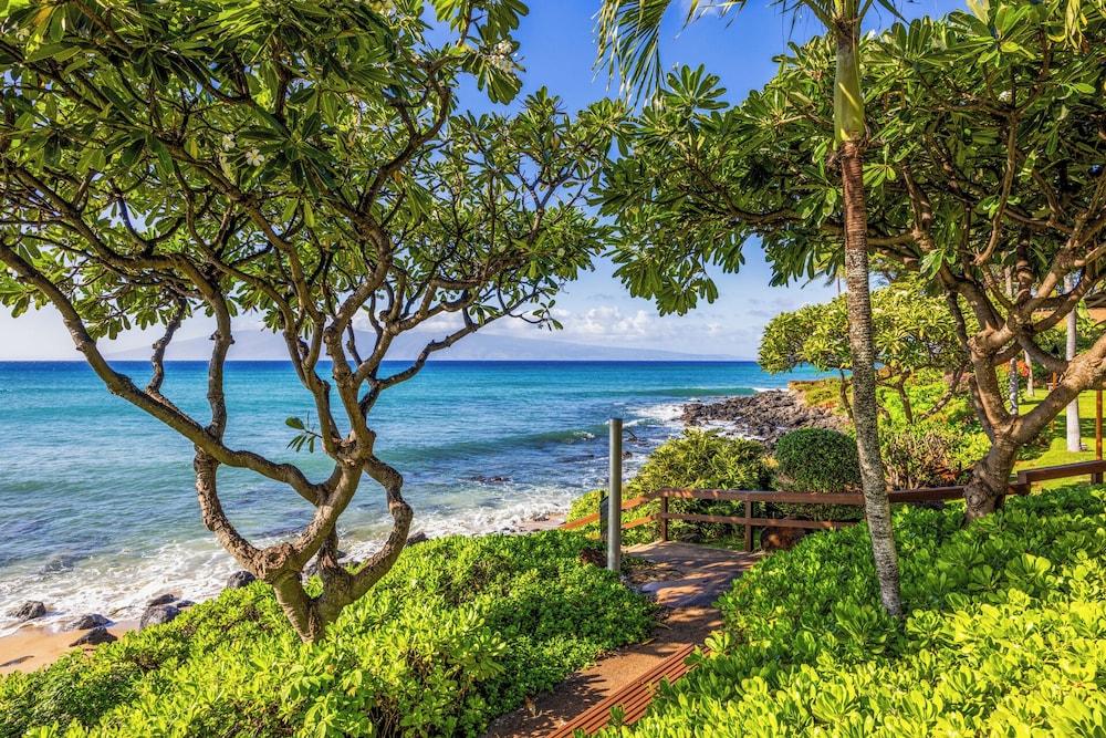 Kuleana Club - 402