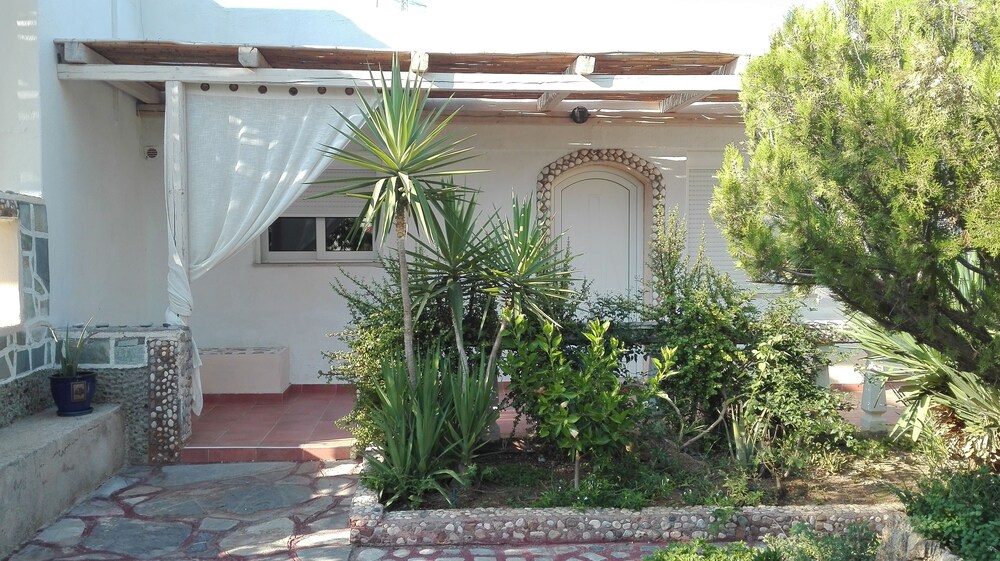 Photo 6