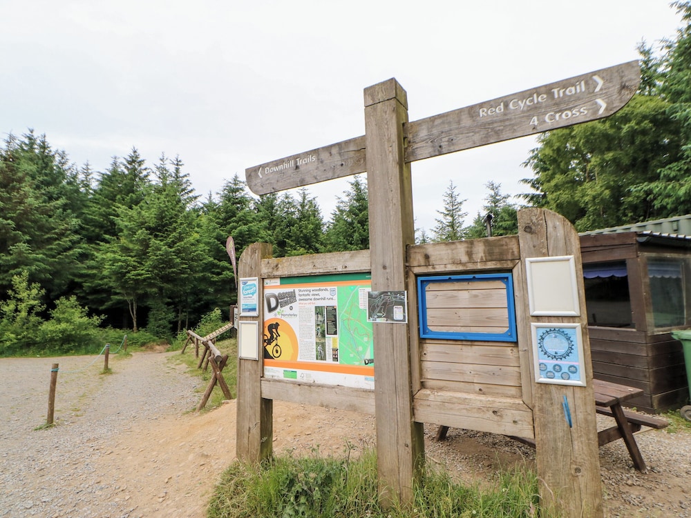 Forestside View