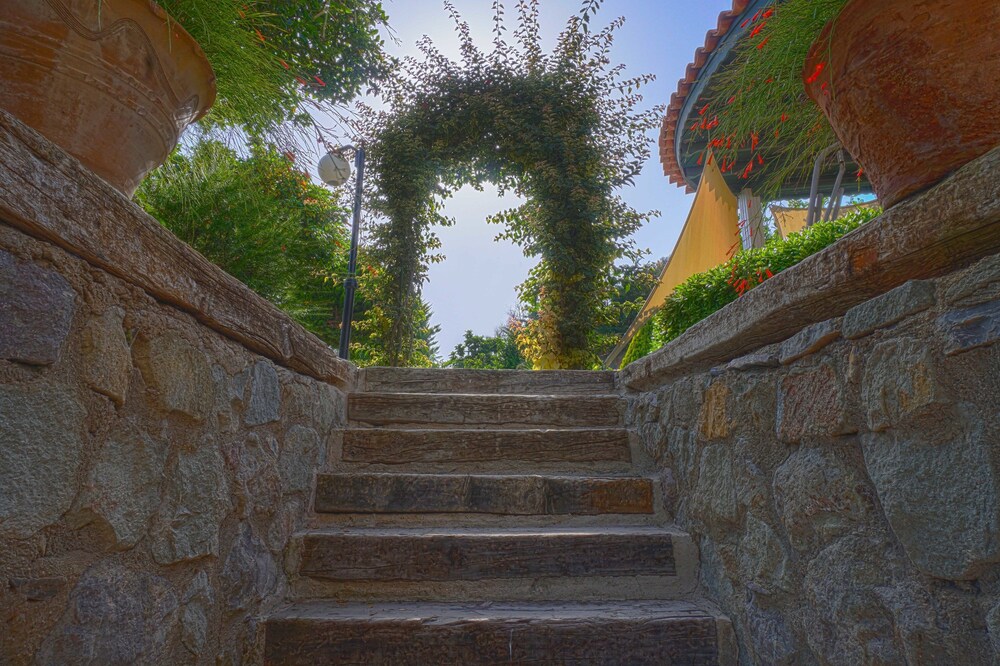 Villa Olivia