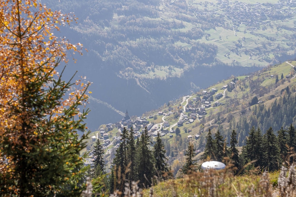 Chalet Elsa