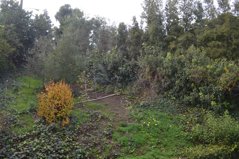 Bed and Breakfast in Hollywood Hills