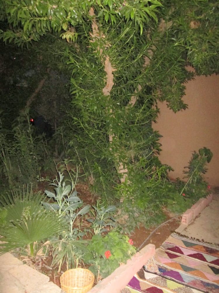 Auberge Toda