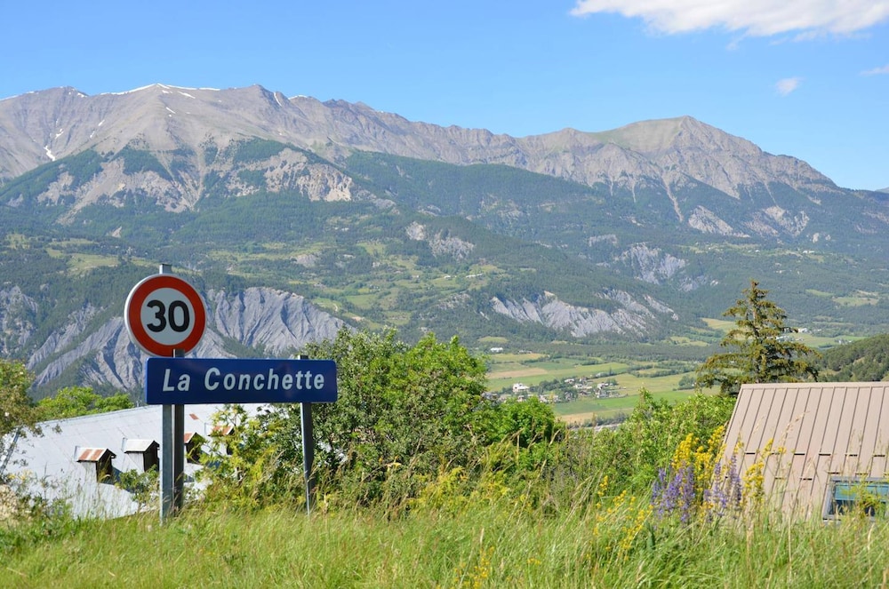 Alpine Chalet La Conchette
