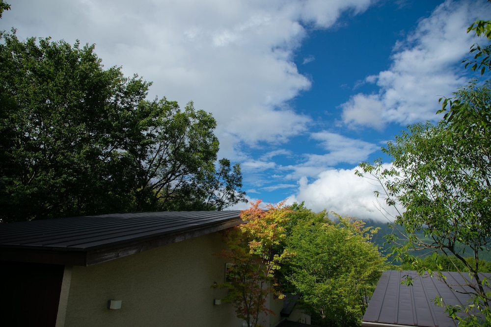 Photo 41