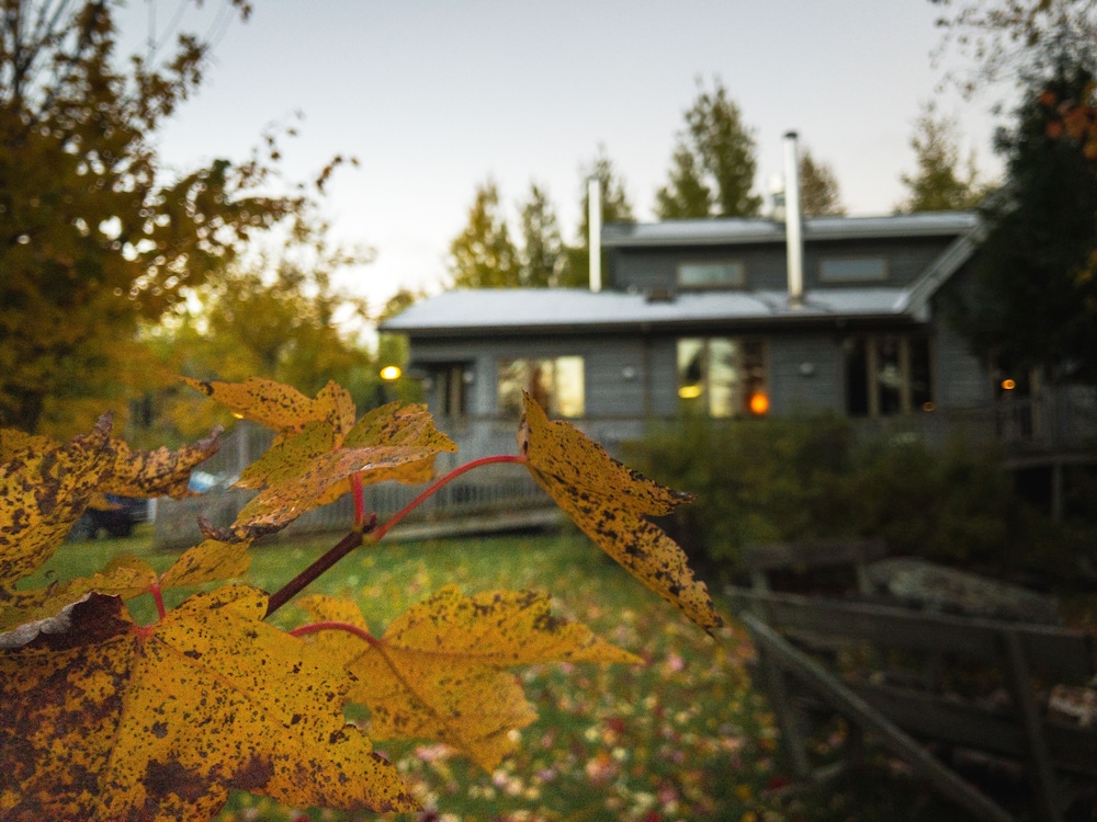 Blue Heron Bed and Breakfast view 4