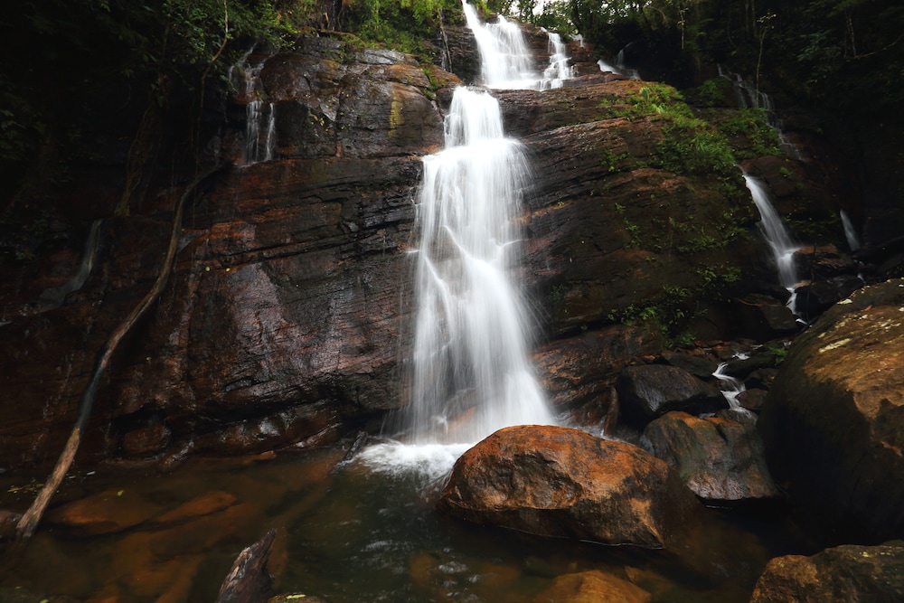 The Rainforest Ecolodge