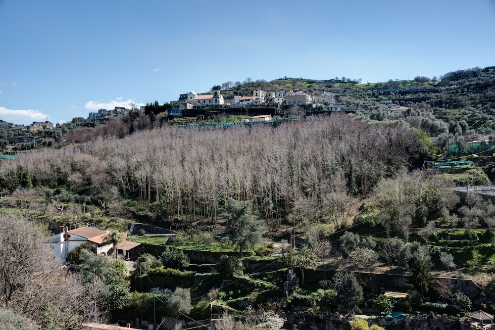 Agriturismo Oleum