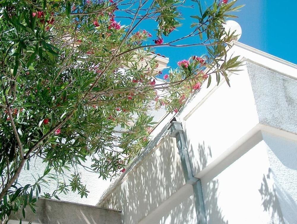 Guest House Blanka