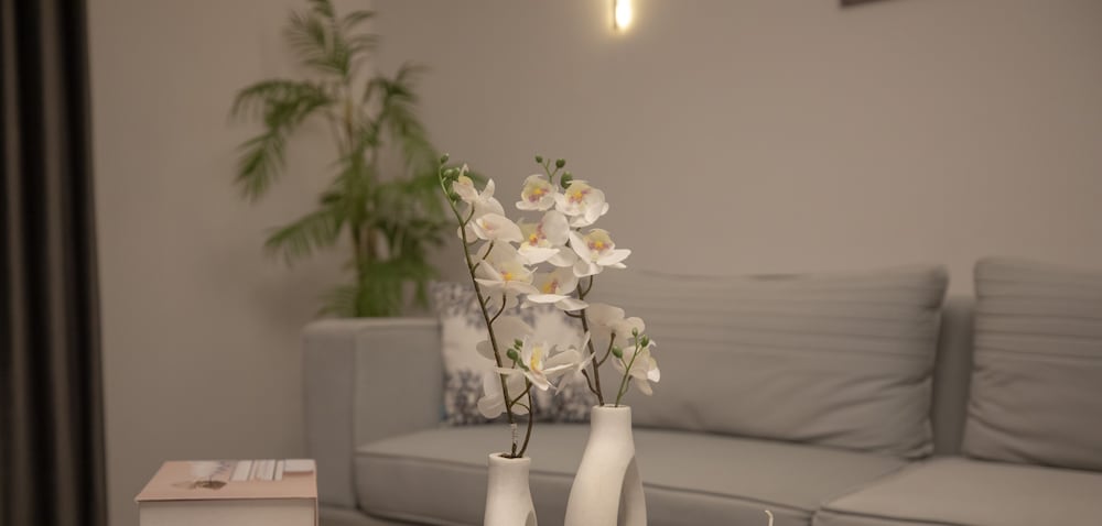 Sokon Residence Rehab
