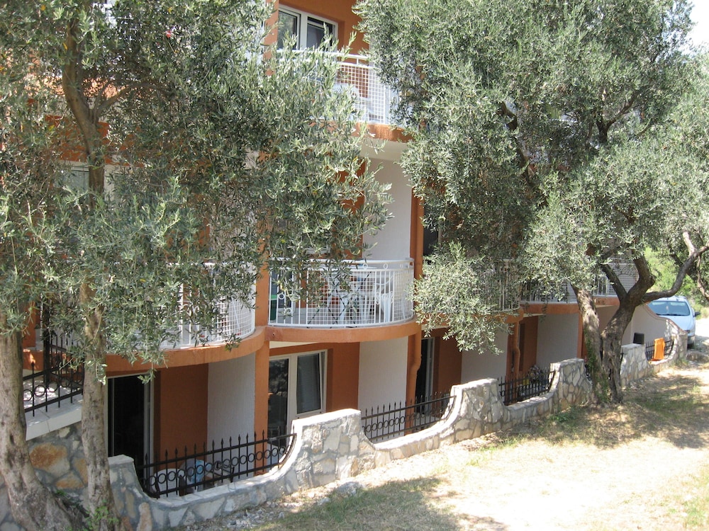 Photo 46